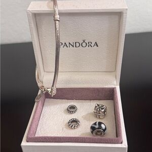 Pandora Bracelet with Charms and Spacers